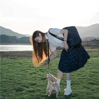 狗纹龙爸爸