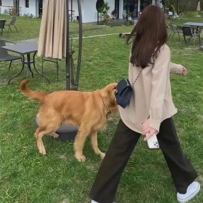 托婴风暴