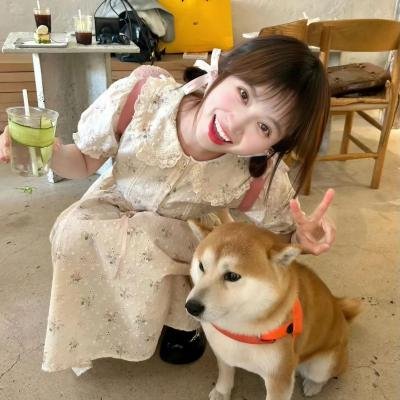 关于前辈很烦人的事