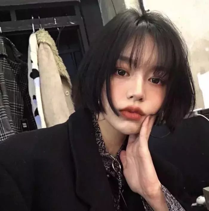 如果历史是一群喵 第二季